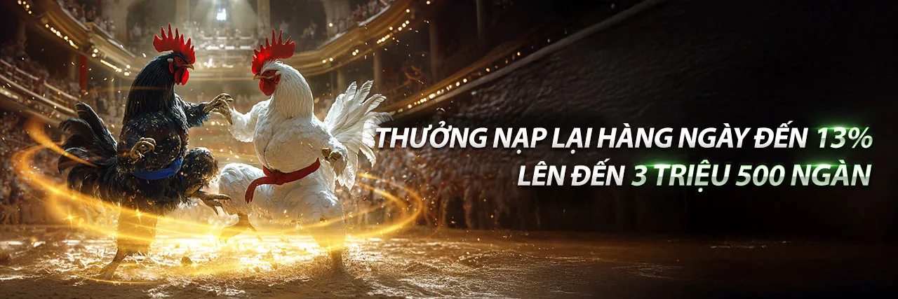 Sân đấu đá gà trực tuyến tại 88live nhà cái