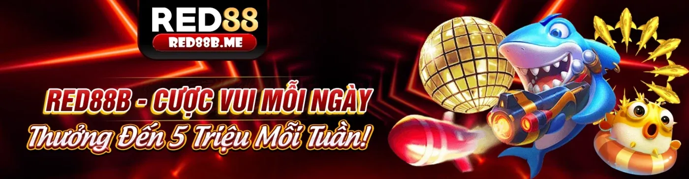Biểu đồ minh họa các loại thông tin mà 88live nhà cái thu thập từ người dùng.