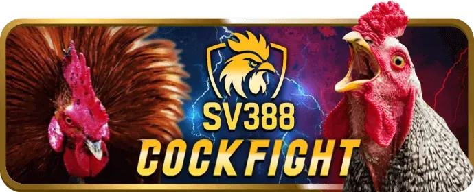 Hỗ trợ toàn diện 88live nhà cái